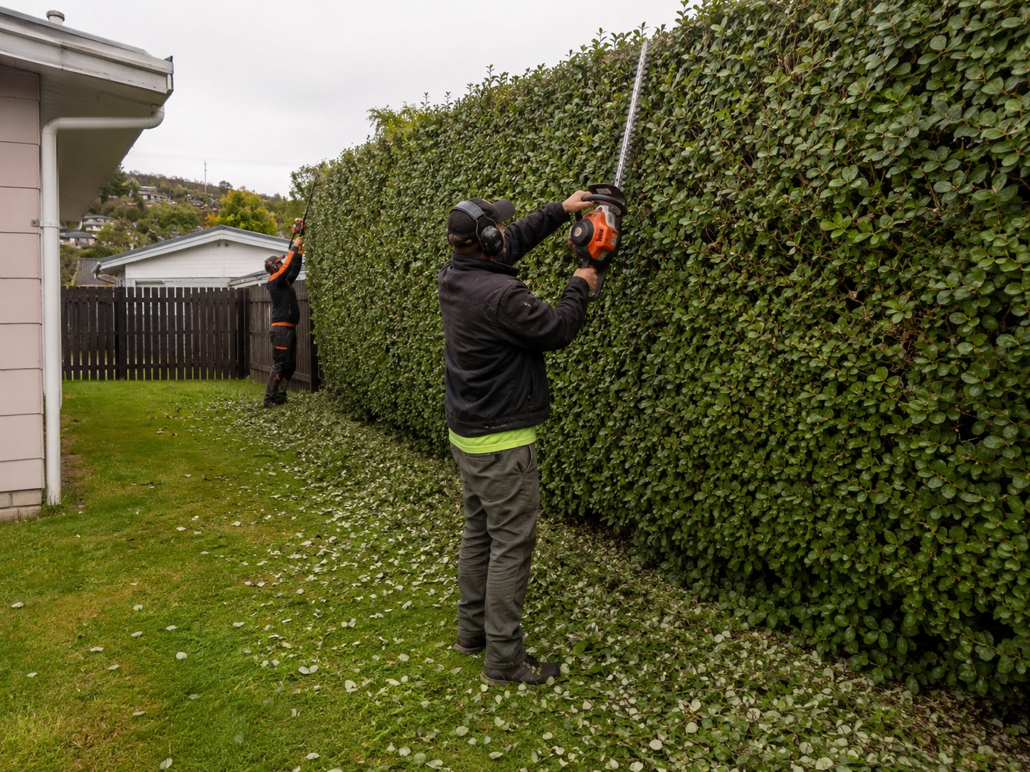 Tree services in St Albans, Christchurch