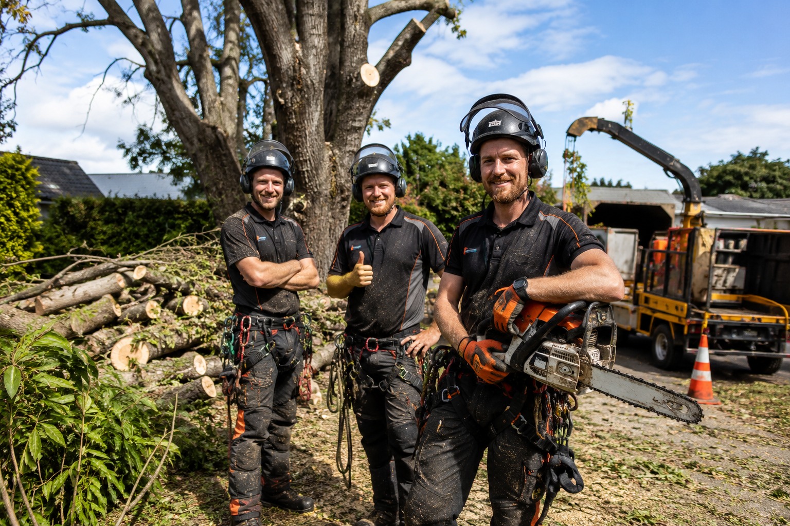 Certified arborists in Christchurch
