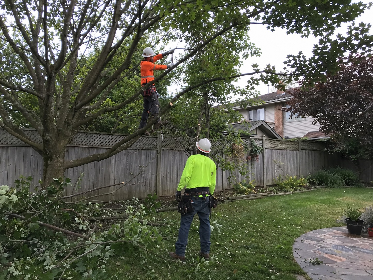 local tree trimming