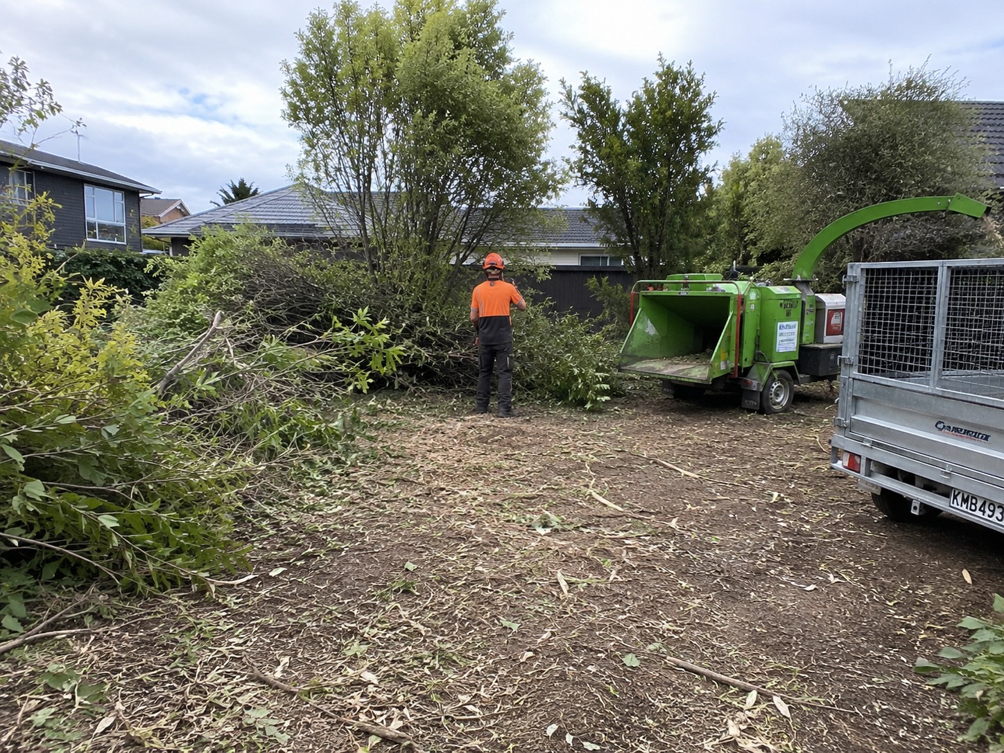 section clearing christchurch