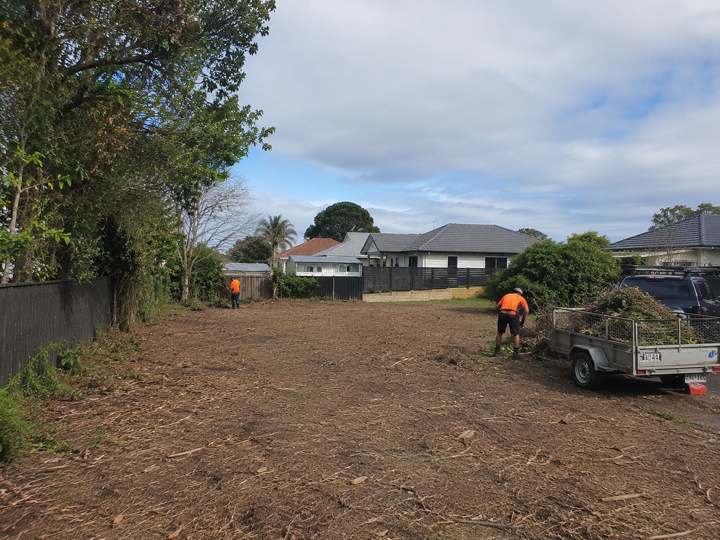 Tree services in Kaiapoi, Christchurch