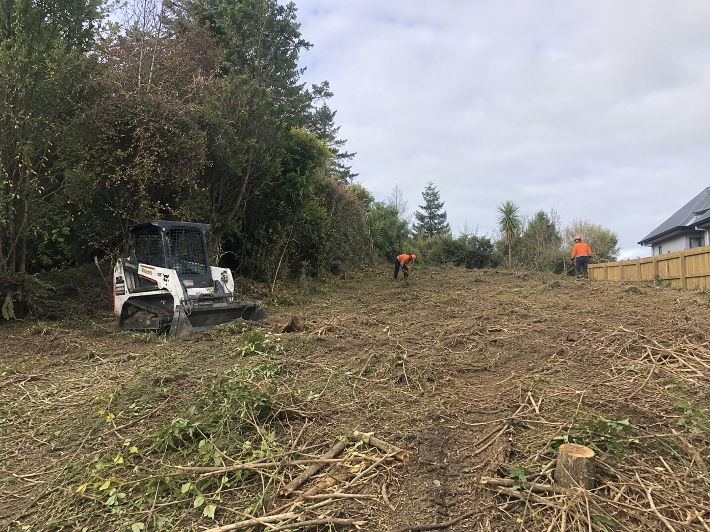 Tree services in Rangiora, Christchurch