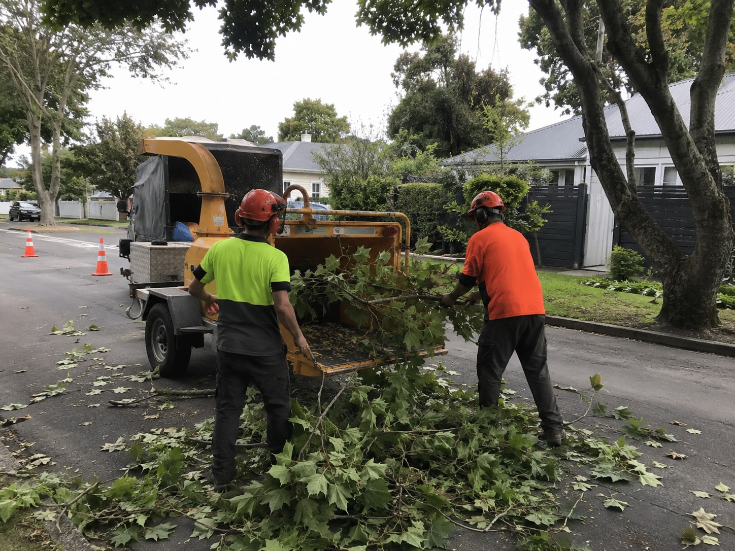 Tree services in Rolleston, Christchurch